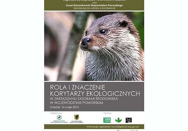 Grafika ROLA I ZNACZENIE KORYTARZY EKOLOGICZNYCH W ZARZĄDZANIU ZASOBAMI ŚRODOWISKA W WOJEWÓDZTWIE POMORSKIM