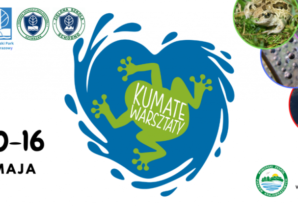 Grafika Kumate warsztaty