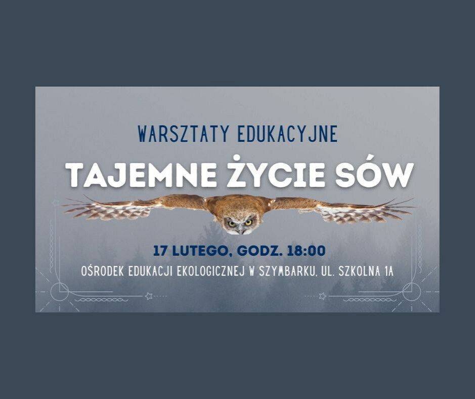 Tajemne życie sów