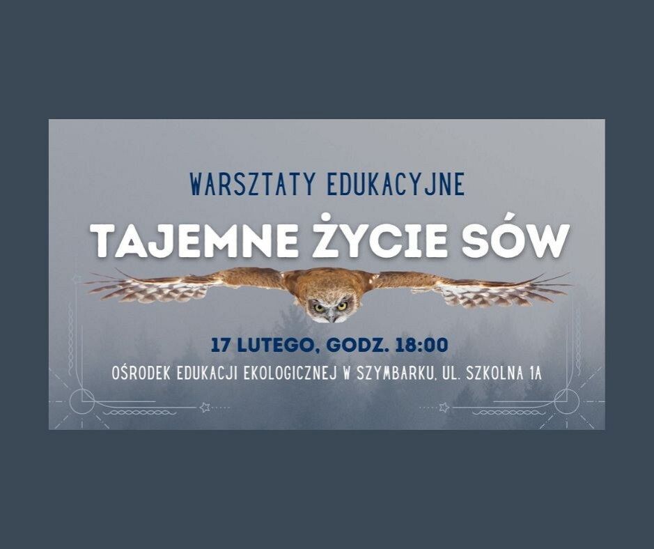 Grafika Tajemne życie sów