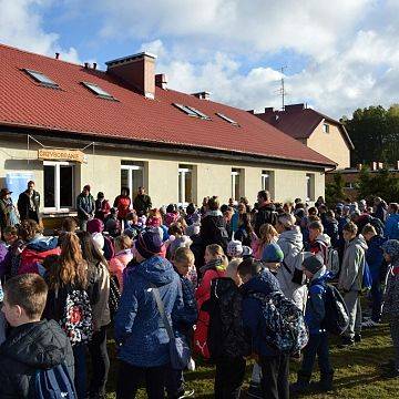 Grafika Grzybobranie w Ośrodku Eduakcji Ekologicznej
