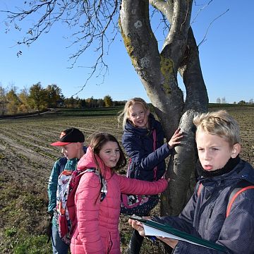 Grafika Kaszubski spacer z okazji Międzynarodowego Dnia Krajobrazu