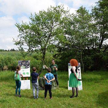 Grafika „BioBlitz w dolinie Raduni”