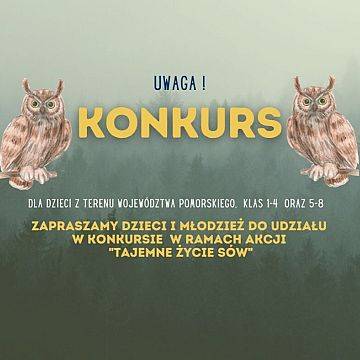 Grafika Konkurs