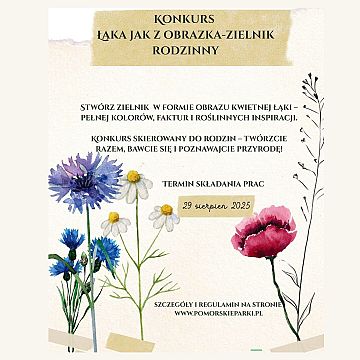 Łąka jak z obrazka – zielnik rodzinny Grafika Łąka jak z obrazka – zielnik rodzinny