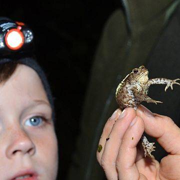 Zapraszamy na Rodzinne Warsztaty Herpetologiczne w OEE w Szymbarku grafika