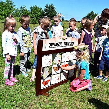 Grafika „Majówka entomologiczna”