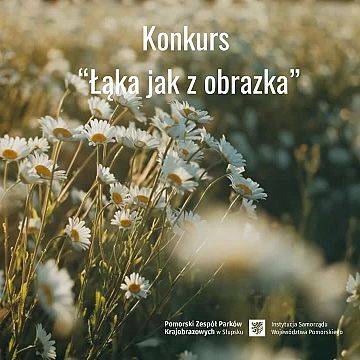 Łąka jak z obrazka – konkurs zielnikowy Grafika Łąka jak z obrazka – konkurs zielnikowy