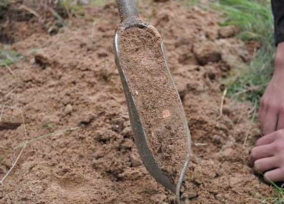 Poznanie budowy geologicznej i rzeźby Pojezierza Kaszubskiego - ćwiczenia terenowe studentów UG grafika