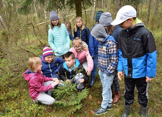 na warsztatach fot. M. Karczewska Grafika VIII Wiosenne Warsztaty Przyrodnicze w OEE w Szymbarku