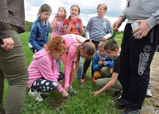 Poszukiwanie ziół na obejściu szkoły, fot. M. Drężek