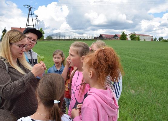 Poszukiwanie ziół na obejściu szkoły, fot. M. Drężek