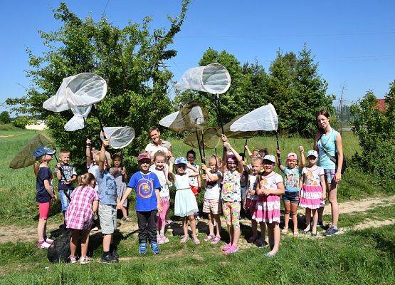 Grafika Majówka entomologiczna dla przedszkolaków- warsztaty OEE