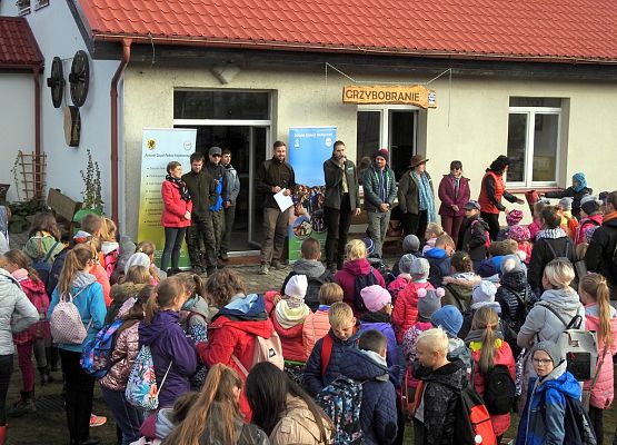 Grafika Grzybobranie w Ośrodku Eduakcji Ekologicznej