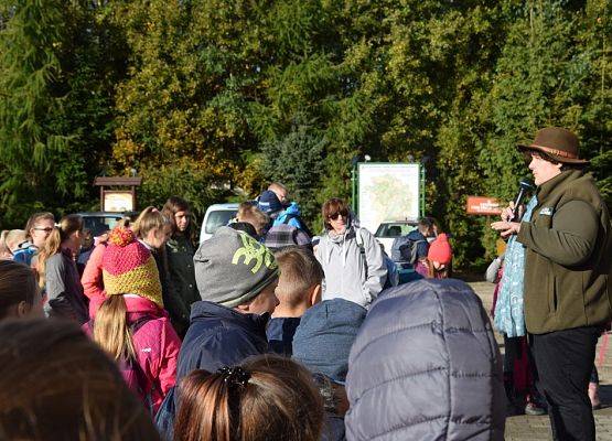 Grafika Grzybobranie w Ośrodku Eduakcji Ekologicznej