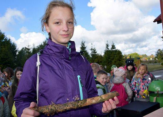 Grafika Grzybobranie w Ośrodku Eduakcji Ekologicznej