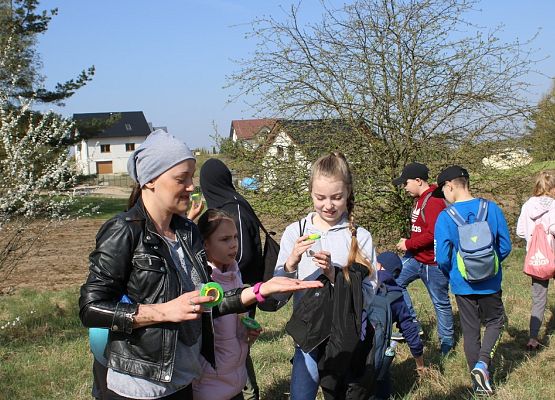 fot. Katarzyna Sikorska grafika