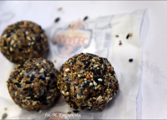 Grafika Warsztaty jednodniowe w szkołach powiatu kartuskiego