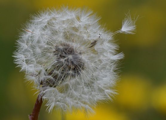 Grafika Tęsknimy za Wami….