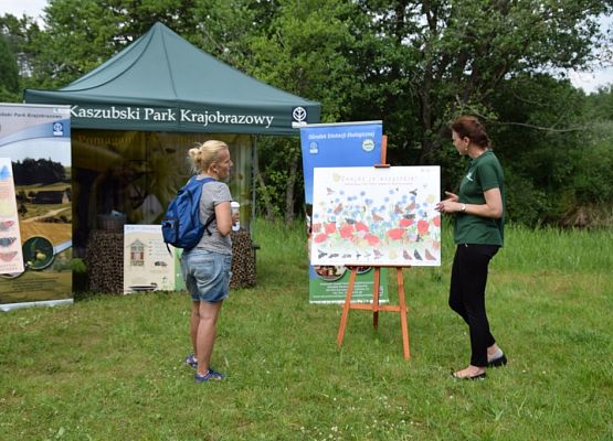 Grafika „BioBlitz w dolinie Raduni”