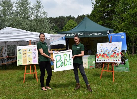 Grafika „BioBlitz w dolinie Raduni”