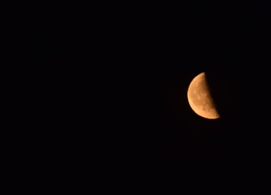 Oprócz deszczu perseidów dopisał też księżyc