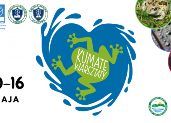 Grafika Kumate warsztaty