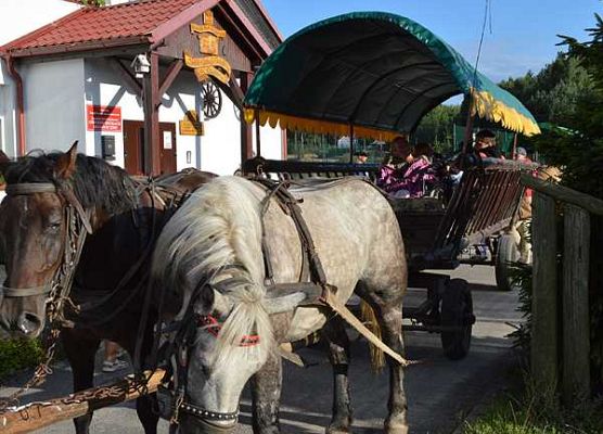 Grafika „Diament” w OEE w Szymbarku