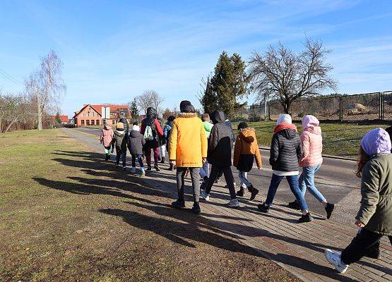 Piesze wędrówki przyrodnicze. Fot. K. Błaszak