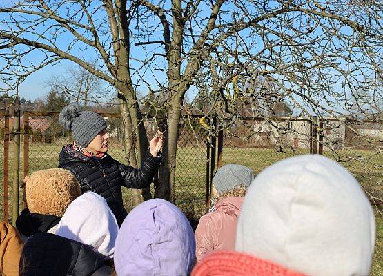 Poznajemy drzewa i krzewy. Fot. K. Błaszak