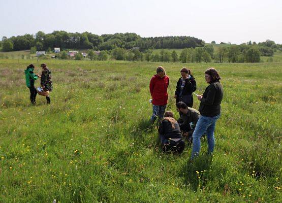 Warsztaty dla edukatorów - maj 2023