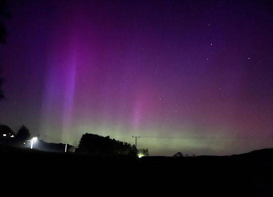 Zorza polarna w Staniszewie. Widoczna 12 sierpnia, w apogeum Perseidów. Fot Dominika Dudzic