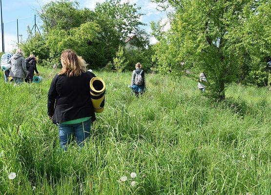 Część terenowa warsztatu, uczestnicy doświadczają przyrody na łące Fot. LM