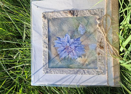 Chaber bławatek - na obrazku stał się inspiracją dla uczestników