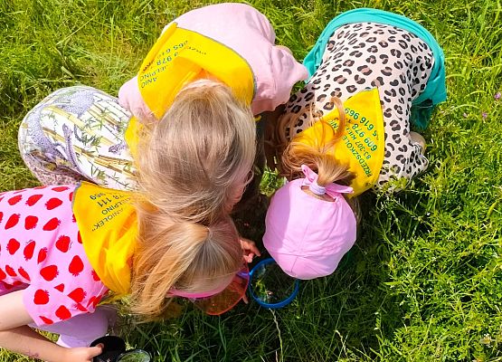 Dzieci, używając lup poszukują najmniejszych mieszkańców łąki