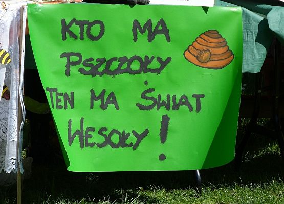 Grafika "Pszczoła niejedno ma imię" - XXI Sejmik Ekologiczny w Kościerzynie