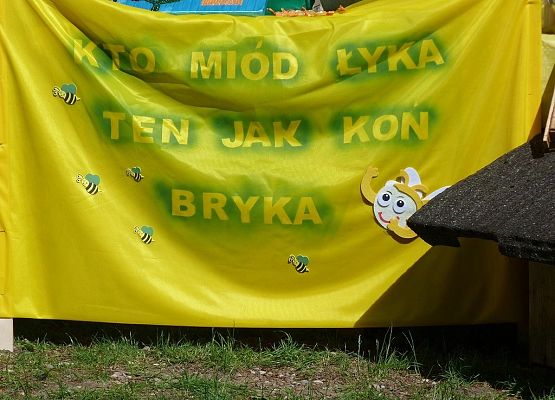Grafika "Pszczoła niejedno ma imię" - XXI Sejmik Ekologiczny w Kościerzynie