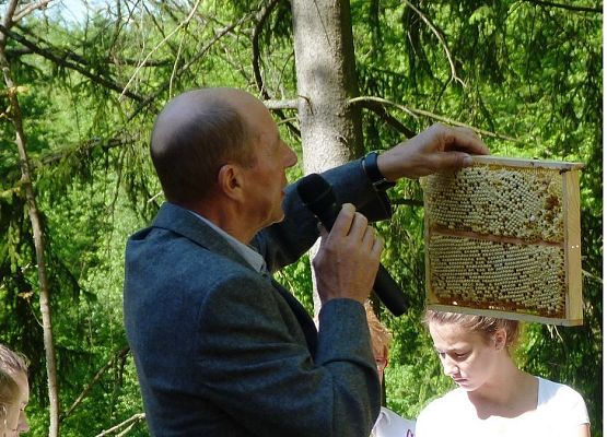 Grafika "Pszczoła niejedno ma imię" - XXI Sejmik Ekologiczny w Kościerzynie