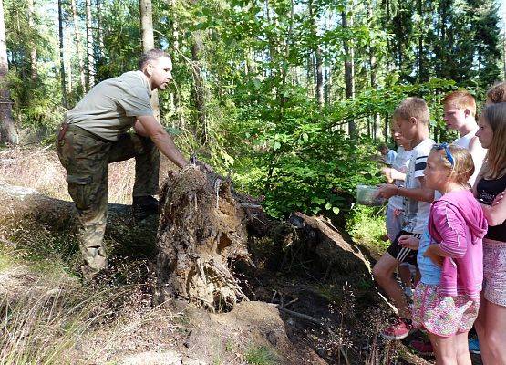 Grafika „Wakacyjny pobyt podopiecznych Domu Dziecka z Kartuz w OEE”