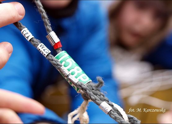 Grafika „Ptasie zimowanie” i nie tylko