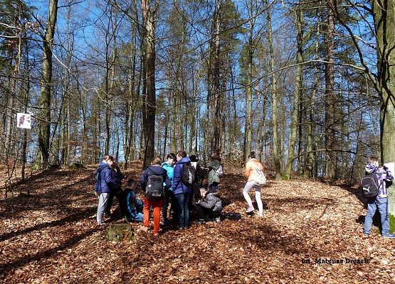 Grafika Ekologiczna gra terenowa „Pogoń za wiosną”