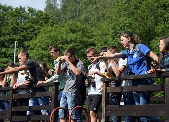 Grafika „Przyroda i Matematyka pod Żaglami”