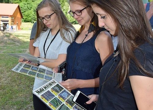 Grafika „Przyroda i Matematyka pod Żaglami”