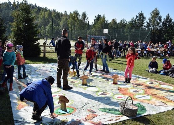 Nowa pomoc dydaktyczna – gra wielkoformatowa „Grzybobranie” fot. Marcin Sidoruk grafika