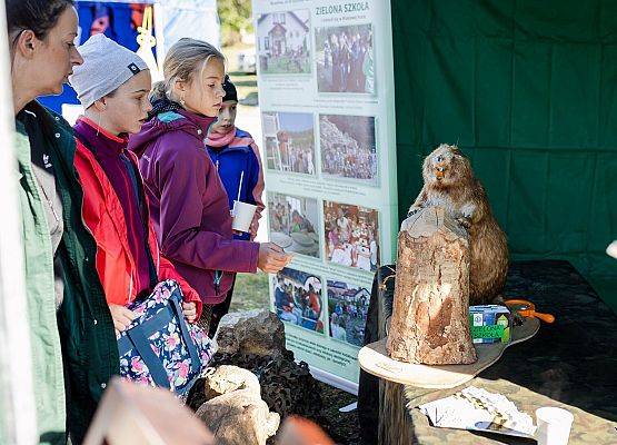 Stanowisko o bobrach na pikniku edukacyjnym "Pomorskie żagle wiedzy", 2022