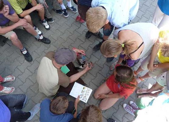 Grafika „Warsztaty ornitologiczne”