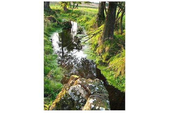 Grafika Wyniki konkursu fotograficznego „Krajobrazy Kaszubskiego Parku Krajobrazowego w obiektywie”