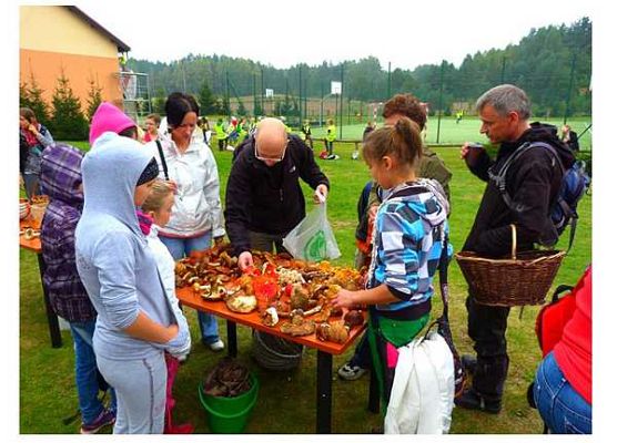 Grafika „Grzybobranie”