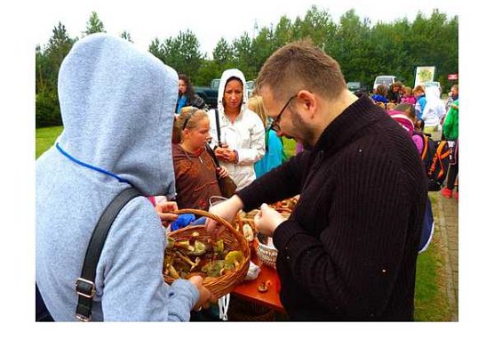 Grafika „Grzybobranie”