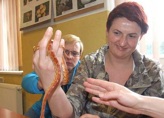 Grafika Warsztaty herpetologiczne w OEE w Szymbarku
